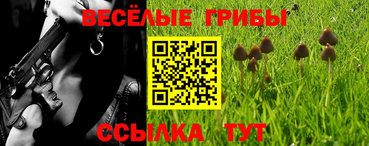 Псилоцибиновые грибы мицелий  Березники  Галлюциногенные грибы Psilocybe 