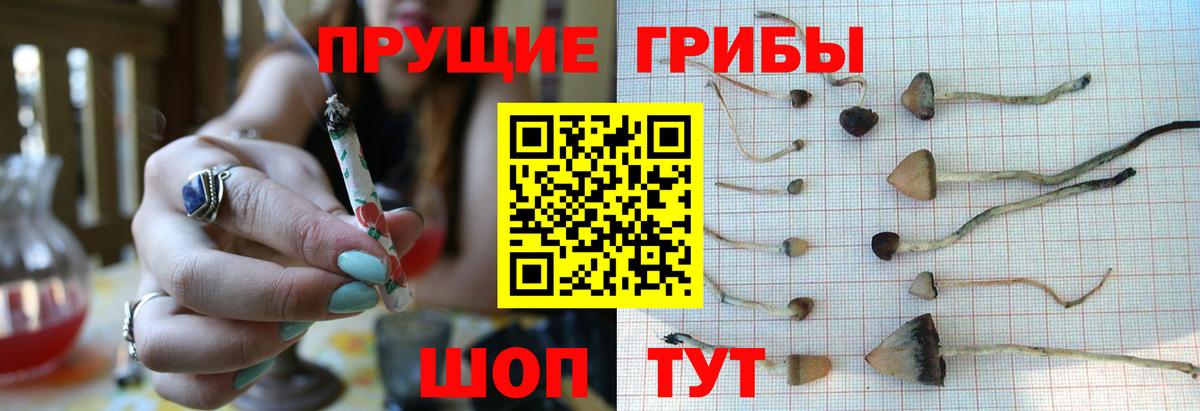 Березники  Псилоцибиновые грибы мицелий  Галлюциногенные грибы Psilocybine cubensis  Вход с VPN 